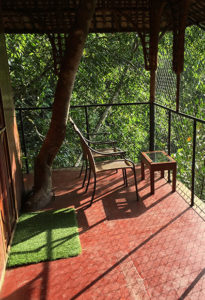 Vythiri Treehouse Resort Balcony