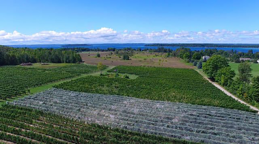 The winery has more than 20 acres of vines and bottles varieties such as Chardonnay, riesling and pinot noir. Photo courtesy of West Bay Beach.